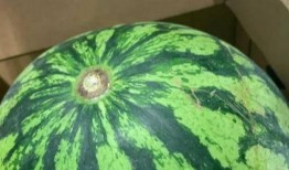 吃瓜直播间免费吃瓜是真是假,吃瓜直播间免费吃瓜，真相大揭秘！